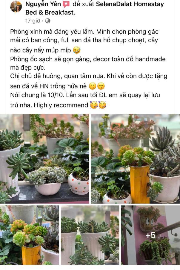 Selena Dalat Homestay Luaran gambar