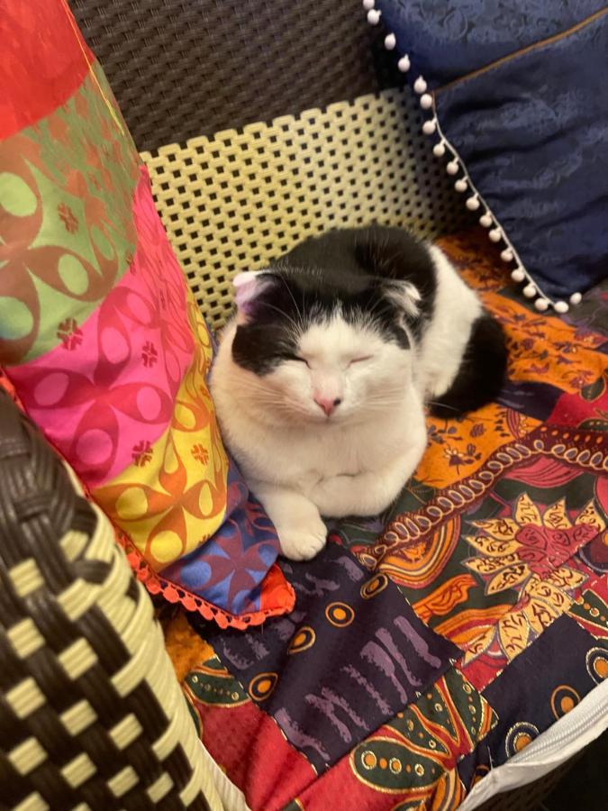 Selena Dalat Homestay Luaran gambar
